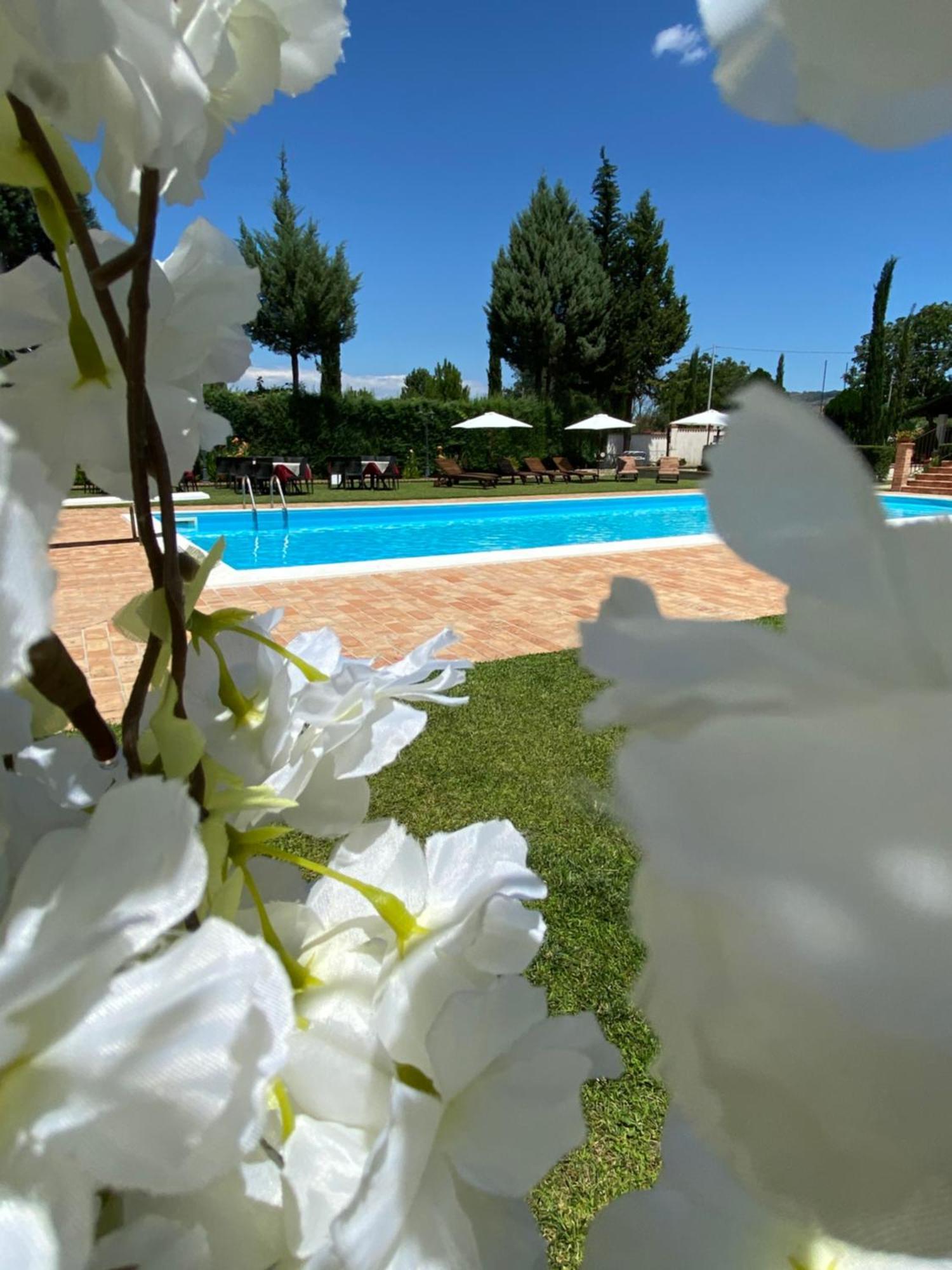 Villa Piero Bisignano エクステリア 写真